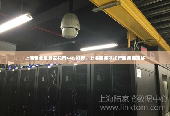 上海专业服务器托管中心推荐，上海服务器托管服务哪家好