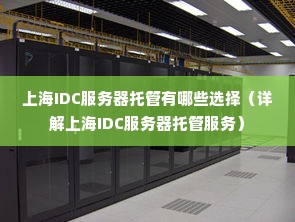 上海IDC服务器托管有哪些选择（详解上海IDC服务器托管服务）