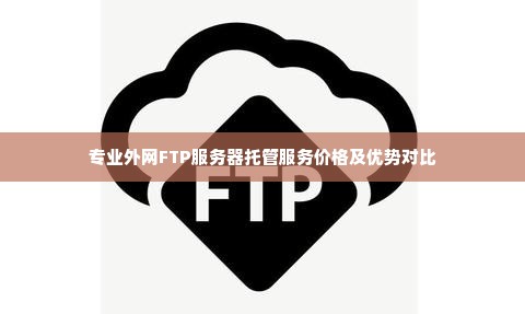 专业外网FTP服务器托管服务价格及优势对比