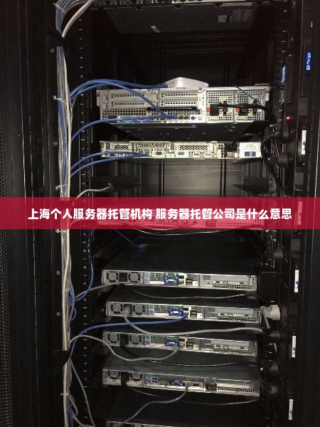 上海个人服务器托管机构 服务器托管公司是什么意思