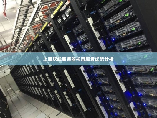 上海双线服务器托管服务优势分析