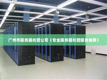 广州市服务器托管公司（专业服务器托管服务推荐）