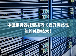 中国服务器托管技巧（提升网站性能的关键技术）
